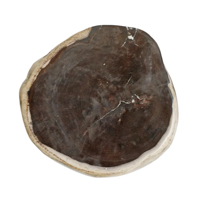 Vintage Petrified Wood Stump Side Table For Sale In Los Angeles - Image 6 of 8