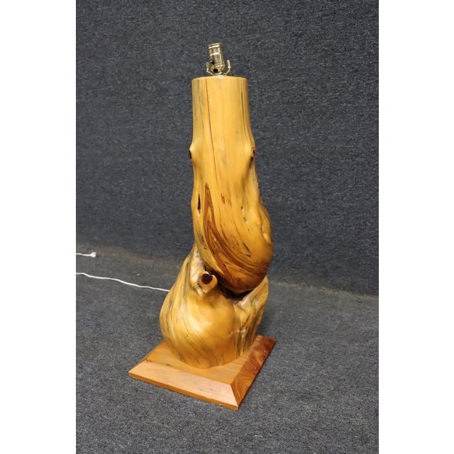 Mid 20th Century Mid Century Modern Organic Driftwood Table Lamp For Sale - Image 4 of 8