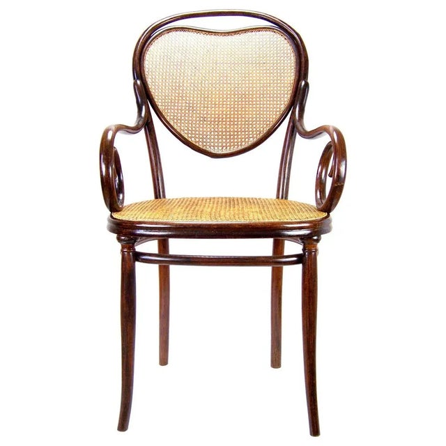 Wood Viennese Nr. 3 Armchair from Thonet, 1860s For Sale - Image 7 of 7
