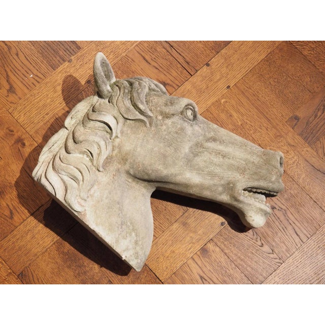 Carved Limestone Horsehead From Italy For Sale - Image 11 of 13