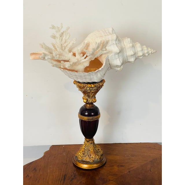 1960s Impressive Spiral Sea Shell On. Pricket Stand Assemblage For Sale - Image 4 of 5
