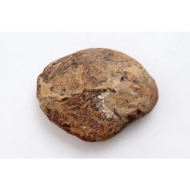 Large Amber Stone Gemstone, 1960s For Sale - Image 4 of 10