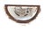 Vintage Pair of Shell-Encrusted Wall Sconces For Sale In Tampa - Image 6 of 13