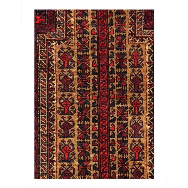 Balouch rugs are handmade tribal rugs from Eastern Afghanistan. These are primarily knotted by Pashtun and Baluch nomad...