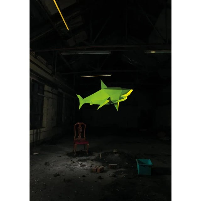 Photographic print 59.4 x 84.1 cm (23.39 x 33.11 in), unframed Each print is numbered and signed by the artist Limited...