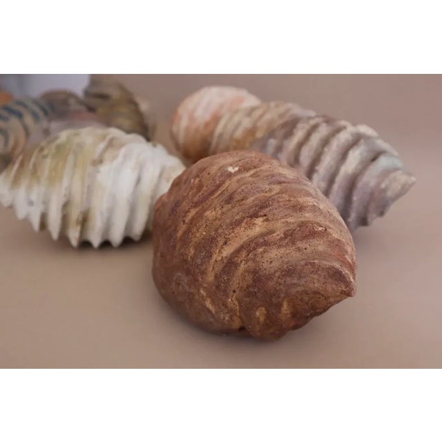 Unique Mid Century collection of clay swirls reminiscent of croissants, sea shells, or Port Jackson shark eggs. Assortment...