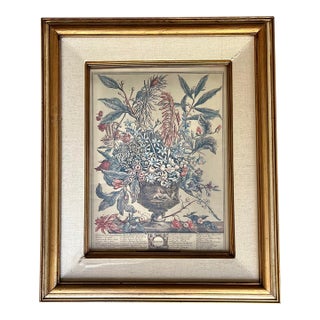 Vintage Robert Furber “12 Months of Flowers, January” Print, Gold Wood Frame For Sale