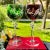 Glass Mid 20th Century Multicolor Cut to Clear Bohemian Styled Wine Glasses- Set of 6 For Sale - Image 7 of 9
