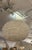 Contemporary Umage Eos Feather Pendant, White For Sale - Image 3 of 12