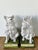 Vintage Italian Glazed Terracotta Dogs - A Pair For Sale - Image 4 of 8