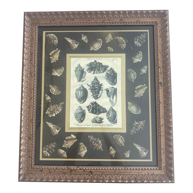 Shells Giclee Print For Sale