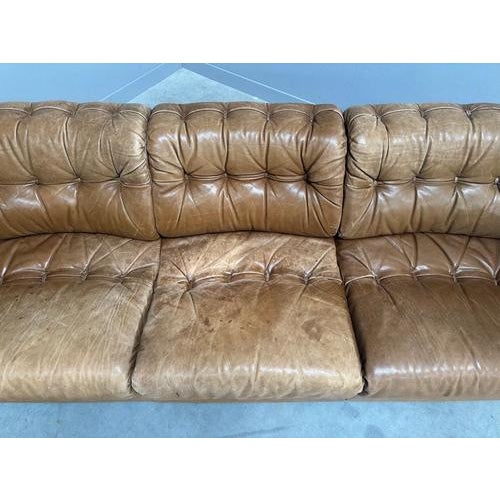 DS40 Sofa by Robert Haussmann for de Sede, 1970s For Sale - Image 14 of 16