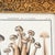 French Botanical Mushroom "L'Agaric Fusiforme" Illustration From 1700's, Antique Framed Etched Botany Art For Sale - Image 4 of 11