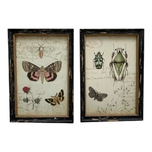 Rustic Framed Bug & Butterfly Wall Decor Prints, Set of Two