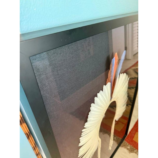 Brazilian Kayapó Wall Decor | Amazon Indigenous Feather Headdress 'Cocar' For Sale - Image 10 of 11