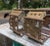 Antique American Art Deco Architectural Bronze Eagle Chandeliers - a Pair For Sale - Image 4 of 18