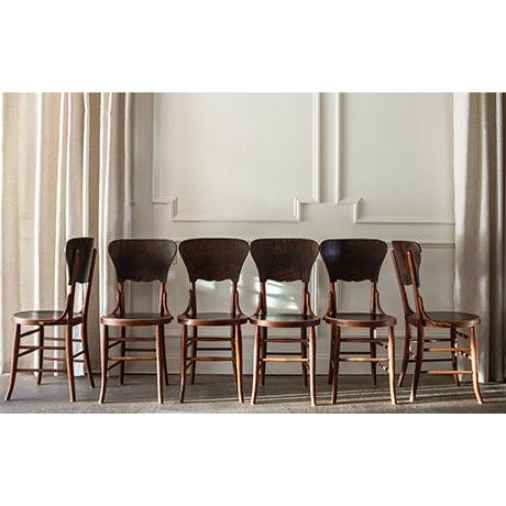 Antique Bentwood Cafe Chairs in the Style of Micheal Thonet , Set of 6 For Sale - Image 4 of 16