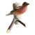 Wood Carved Bird 88 Austria For Sale