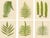 E.J. Lowe, Botanical Fern, 1856, Lithograph, Set of 6 For Sale - Image 9 of 9