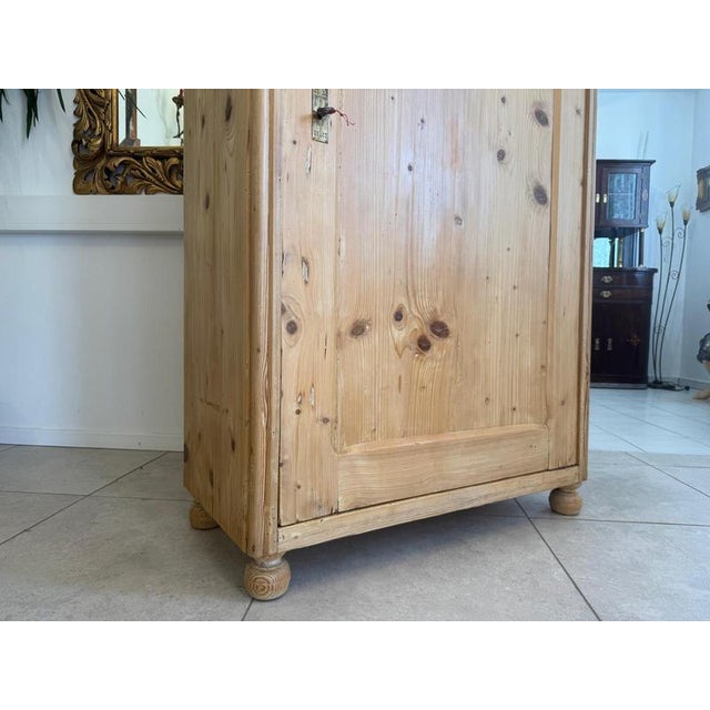 Gründerzeit Farmhouse 1-Door Cupboard in Wood For Sale - Image 15 of 18