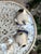 White Early 20th Century Staffordshire Cat Figurines - a Pair For Sale - Image 8 of 9