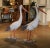 Pair of Early 20th Century French Painted Concrete Stork Garden Sculptures For Sale In Dallas - Image 6 of 10