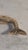 Brass Late-20th-Century Indian Solid Brass Mermaid Bottle Opener With Velvet Pouch For Sale - Image 8 of 11