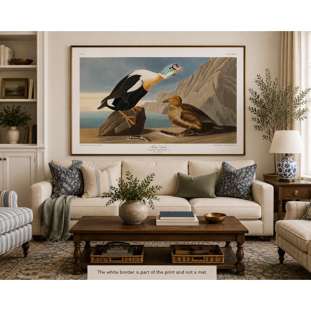 Illustration King Duck, Vintage Art Print Reproduction From Birds of America by John James Audubon, 36" X 24" For Sale - Image 3 of 9