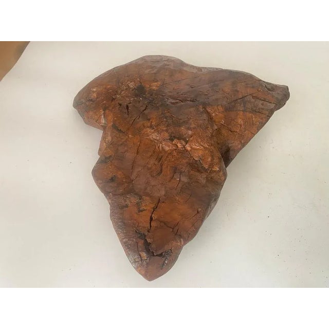 Brutalist Root Wood Vide Poche or Bowl, France, 1960s For Sale - Image 6 of 12