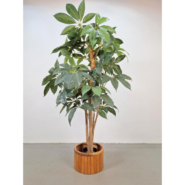 Vintage Wooden Indoor Planter, 1960s For Sale - Image 3 of 8