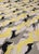Schumacher Schumacher Diamond Dogs Chartreuse 173720 Designer Fabric - 36.5 Yards For Sale - Image 4 of 5