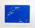 Gittleman’s Lunar Transformation is a series of ten vividly colored serigraphs created from black and white photographs...