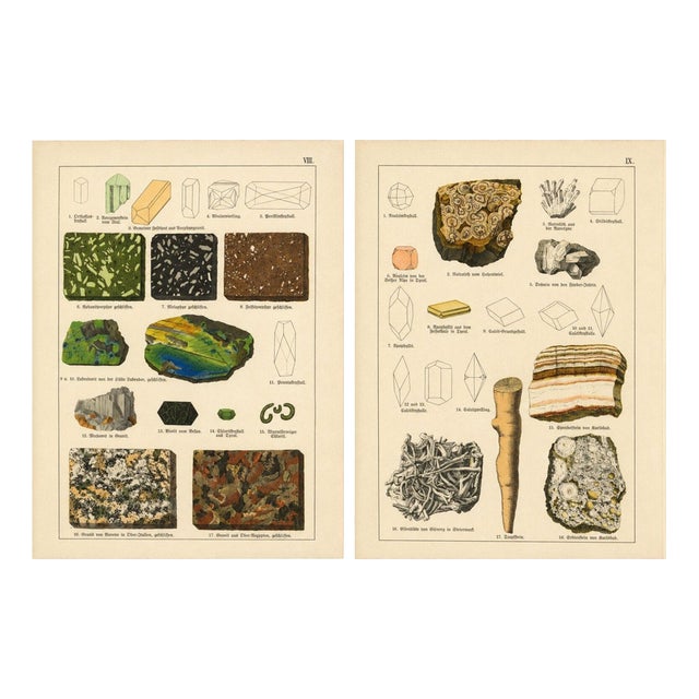 Antique Mineralogy Chromolithographs of Granite, Calcite and Fossil, 1888, Set of 2 For Sale