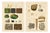 Antique Mineralogy Chromolithographs of Granite, Calcite and Fossil, 1888, Set of 2 For Sale