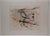 Etching and aquatint, 1972 Edition : 52/99 Publisher : Levi Art Center (Milan) 50.50 cm. x 71.00 cm. 19.88 in. x 27.95 in....