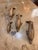 Brass Tabletop Dolphin Pod For Sale - Image 4 of 6