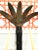 Traditional Vintage Hand Painted Cast Iron Palm Tree Monkey Wall Candle Sconces- a Pair For Sale - Image 3 of 12