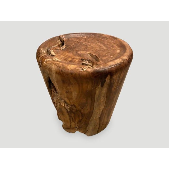 Brown Andrianna Shamaris Organic Natural Teak Wood Tray Side Table For Sale - Image 8 of 18