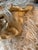 Bench by Edna Cataldo Bighorn Sheep Sculpture Sheep Manner of Francois-Xavier Lalanne For Sale - Image 13 of 18