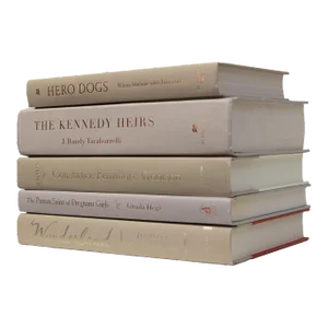 Decorative Books - Driftwood Book Stack - 5 Tan Books