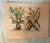 English Authentic Charming Set of Seven 19th Century Hand Colored Botanical Flower Prints on Paper For Sale - Image 3 of 9