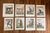 French Set of Eight Authentic 19th Century Buffon Color Engravings of Different Monkeys. For Sale - Image 3 of 7