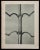 1920s Original Karl Blossfedlt Photogravure Botanical Print For Sale - Image 5 of 5