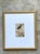 Vintage Botanical Insect Study in Gilt Frame For Sale - Image 4 of 14