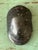 Vintage Italian Scagliola Pigmented Plaster Turtle Shell For Sale - Image 9 of 12