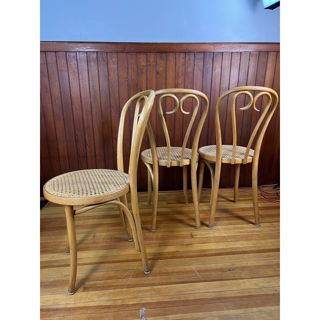 Great set of four vintage Thonet style bentwood chairs with cane seats , chairs were made in Europe.