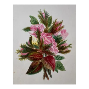 Antique 19th Century Botanical Still Life Watercolor