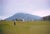 Four by Toni Frissell A group of golfers and caddies prepare for a shot, Hong Kong, 1959. (Photo by Toni Frissell) 16x20"...