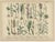 Late 19th Century Antique Botanical Charts of German Flora & Orchids Atlas, Stuttgart, 1885, Set of 6 For Sale - Image 5 of 9