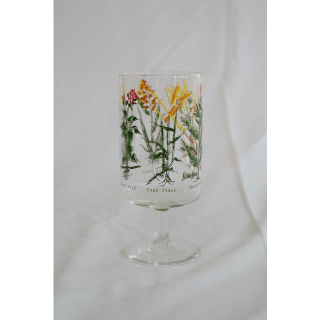 Vintage Neiman Marcus “Weed & Wildflower” Botanical Stem Glasses - Set of 6 For Sale - Image 11 of 13